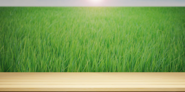 空木桌面和模糊的绿色农场墙横幅模拟抽象背景。3 d图呈现。图片下载