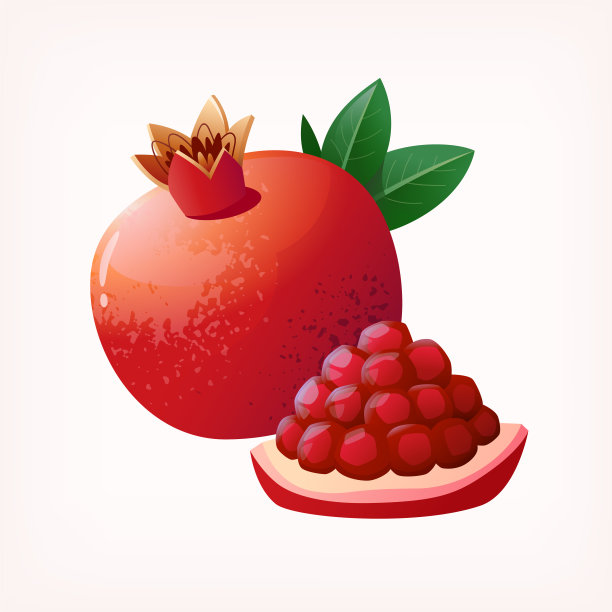 切石榴果实。孤立的矢量插图彩色水果在透明的背景。图片下载