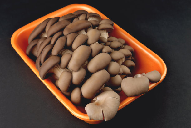 食用天然平菇在一个橙色的容器衬底，在黑色的背景上，烹饪蘑菇和腌菜，养殖蘑菇，特写和复制空间图片下载