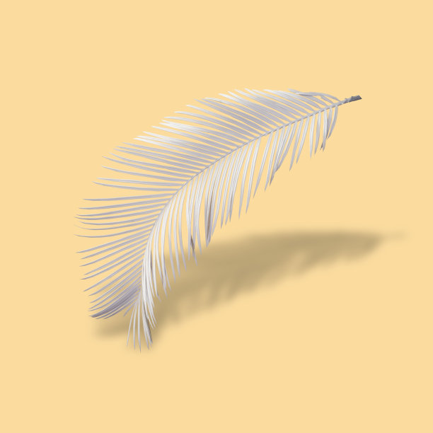 有创意的布局，白色棕榈叶漂浮在柔和的黄色背景上。最小的热带自然元素与复制空间。图片下载