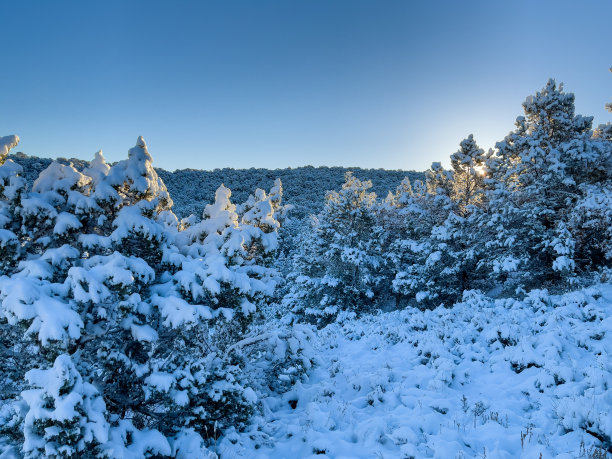早雪日出冬天在西部科罗拉多照片系列图片下载