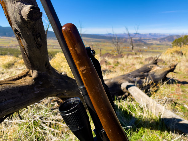 学习老式猎枪和范围乡村科罗拉多户外背景照片系列图片下载