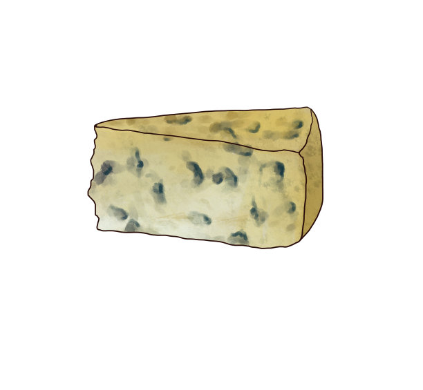 画奶酪羊乳干酪孤立在白色背景图片下载