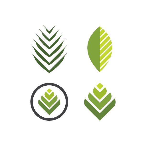 棕榈叶插图图片下载