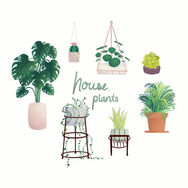 多肉植物和室内植物手绘插图一套室内植物设计图片下载