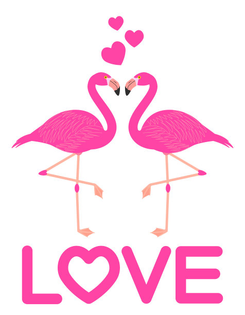 火烈鸟面对着彼此的爱字，象征着心图片下载