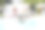 年轻女子在泳池特写中从事水中有氧运动图片下载