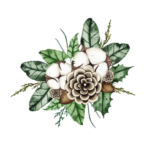 水彩圣诞冬季花束安排与冷杉枝，绿叶，松果，棉花。白色背景上孤立的冬季花束。植物绿化说明图片下载