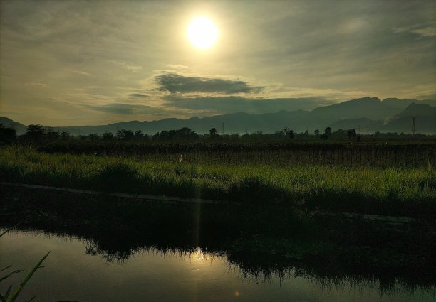 阳光和水图片下载