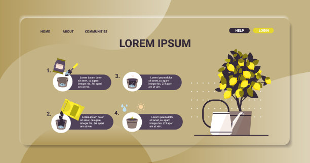 盆栽柠檬植物在盆栽中生长果树图片下载