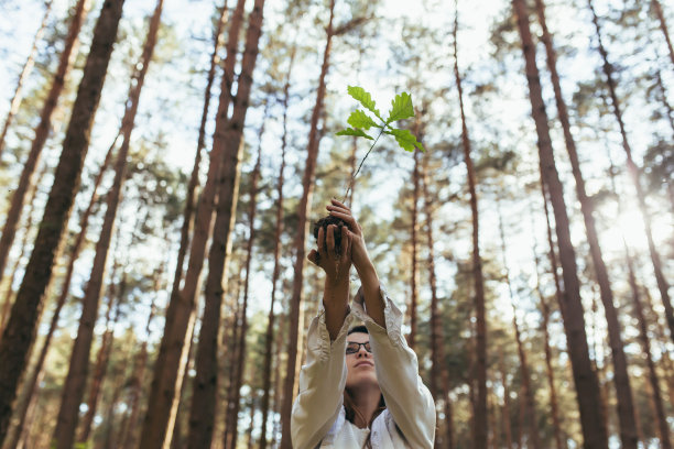 年轻的女志愿者种植一片森林，手里拿着一棵橡树幼苗图片下载