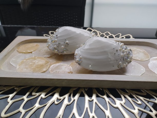 贝壳装饰图片下载