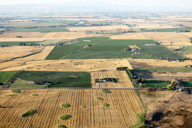 原始殖民风格的家庭厨房图片下载