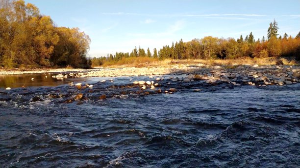 山中河流的照片图片下载