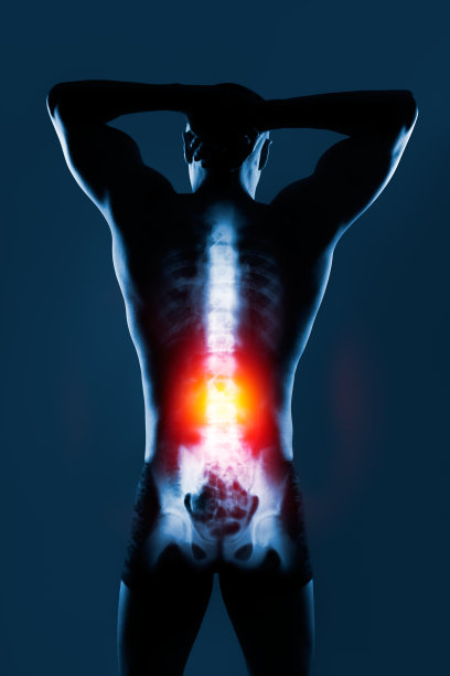 蓝色背景下的x光人体脊柱。腰椎以黄红色突出。图片下载