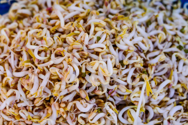 背景大米，数码照片图片作为背景图片下载