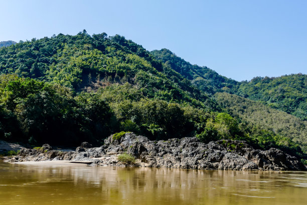 湖中的森林，以数码照片图片为背景图片下载