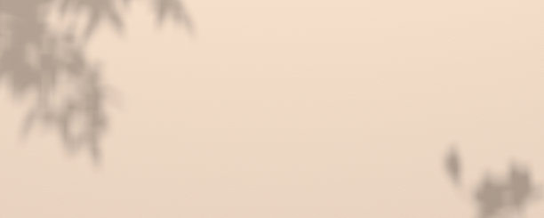 米色背景与阴影的植物分枝。产品演示模板。产品显示背景。图片下载