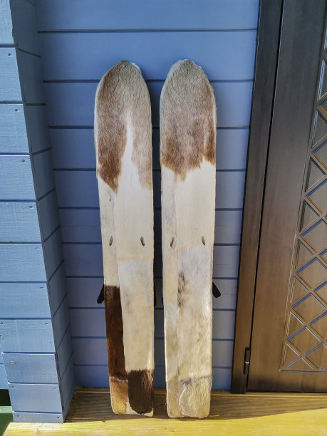 传统的西伯利亚狩猎用的宽滑雪板，上面有皮毛，可以在针叶林的深雪中移动。图片下载