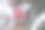 红色的叶子。干秋红叶图片下载