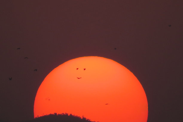 垂死的太阳图片下载