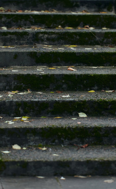古老的混凝土石阶上长满了苔藓和青草图片下载