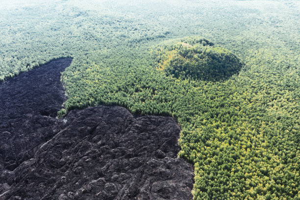 熔岩冻结的秋天森林。无人机拍摄的活火山地区图片下载