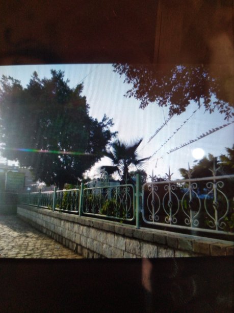 大花园图片下载