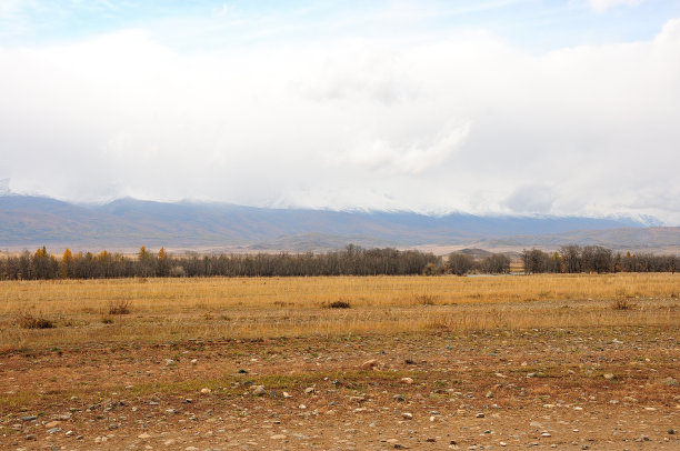 透过一排灌木丛和一个高高的山脊上积雪覆盖的山峰的一块空地望去。图片下载