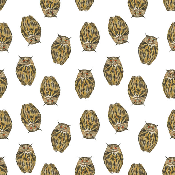 棕色猫头鹰鸟在白色的背景上无缝的图案。水彩手绘插图。完美的纺织品，书籍封面。图片下载