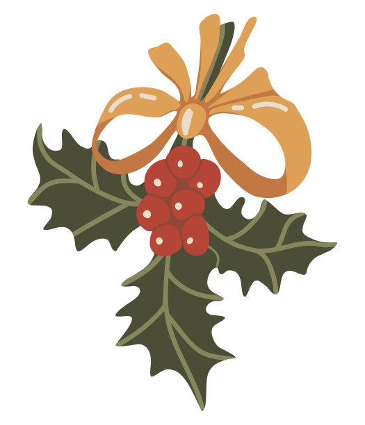 向量孤立的元素。圣诞冬青。圣诞节装饰。白色背景上的彩色图像。印刷品用于包装设计。图片下载