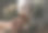女性手中捧着一束枯萎的花。图片下载