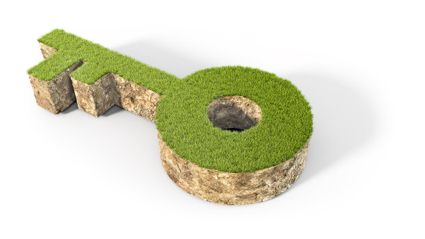 概念片地面和草的关键形状，孤立在白色背景上，3d插图图片下载