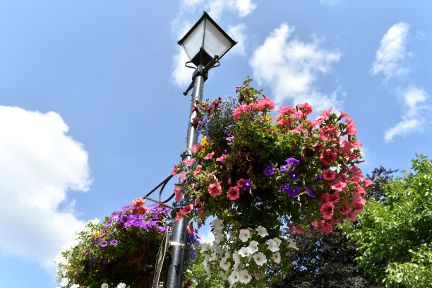 近距离拍摄的老式街灯，灯柱上点缀着漂亮的红色和紫色花朵图片下载