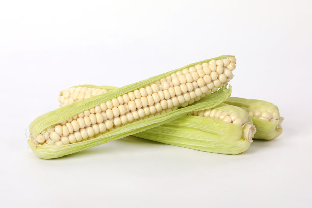 白色背景下收获的新鲜玉米。图片下载