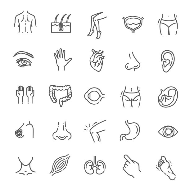 解剖的一组向量线图标图片下载