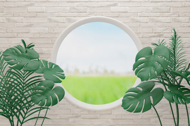 白砖背景上的蒙斯特拉植物叶子。用圆形窗口渲染三维插画图像。图片下载