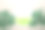 白砖背景上的蒙斯特拉植物叶子。用圆形窗口渲染三维插画图像。图片下载
