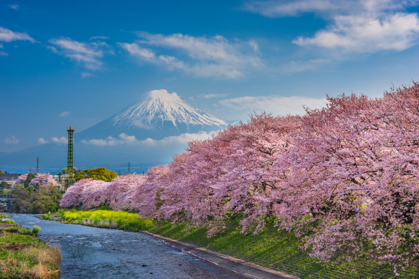 日本富士山，位于乌瑞河畔图片下载