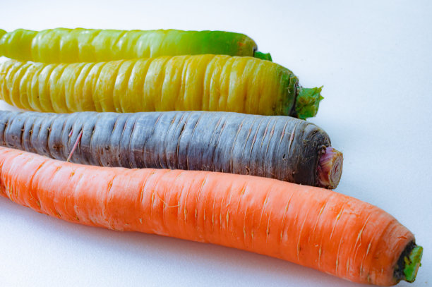 彩色胡萝卜图片下载