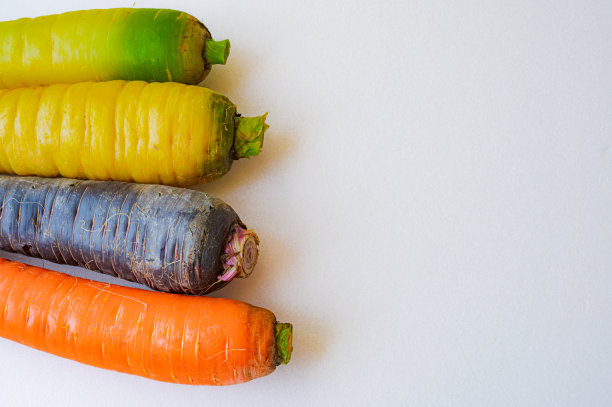 彩色胡萝卜图片下载