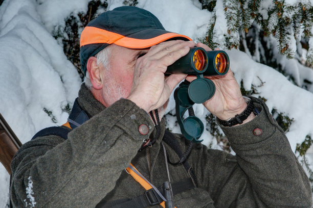 在冬季森林中的观察。图片下载