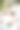 新娘和新郎在一棵盛开的夹竹桃下拥抱，新娘手里捧着一束花图片下载