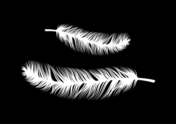 毛茸茸的鸟羽毛白色轮廓图标向量图片下载