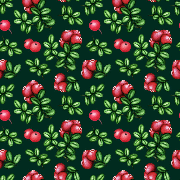 水彩越橘，越橘无缝图案。森林浆果，树枝，束和绿叶。手绘植物背景复古花卉时尚印花图片下载