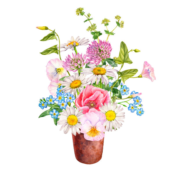 水彩绘画的花图片下载