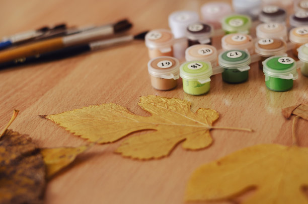 干树叶，一套丙烯酸颜料和画笔图片下载