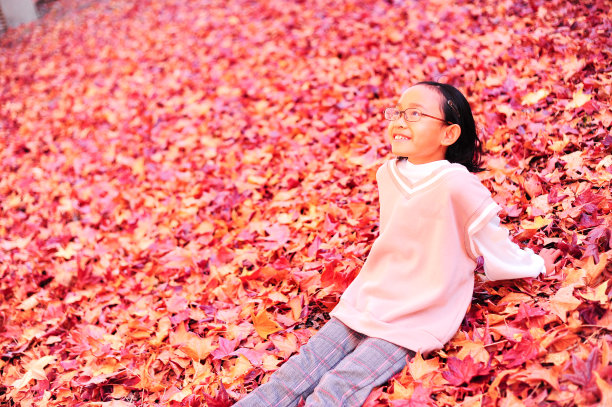 睡在飘落的枫叶上图片下载