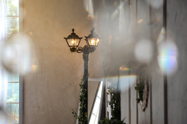 照片区:一盏路灯，旁边是一面用草装饰的镜子图片下载