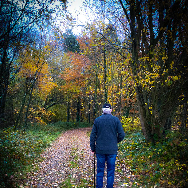 秋天，一位老人在森林里散步图片下载